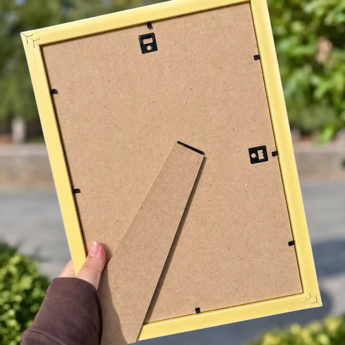 Magnetic Frame